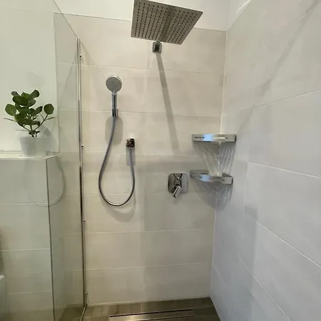 Ferienwohnung * Pension Luisengruen * Magenta Tv Netflix 1Gb/S Internet Wlan/Wifi Waschmaschine Chemnitz Exterior photo