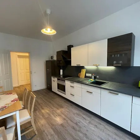 Ferienwohnung * Pension Luisengruen * Magenta Tv Netflix 1Gb/S Internet Wlan/Wifi Waschmaschine Chemnitz Exterior photo