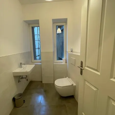 Ferienwohnung * Pension Luisengruen * Magenta Tv Netflix 1Gb/S Internet Wlan/Wifi Waschmaschine Chemnitz Exterior photo